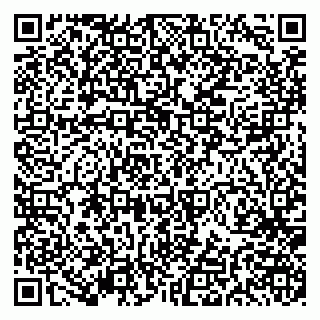 vCard 79191380013
