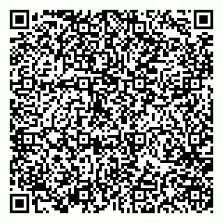 vCard 79191380017