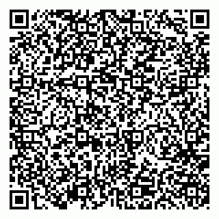 vCard 79191380018