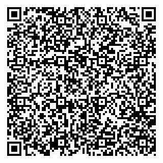 vCard 79191380020