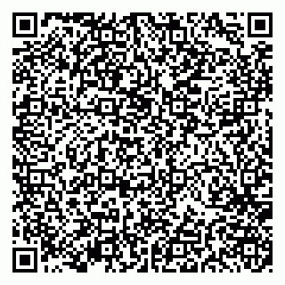 vCard 79191380023