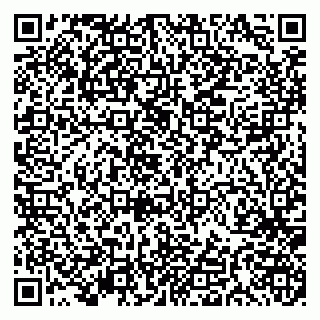 vCard 79191380026