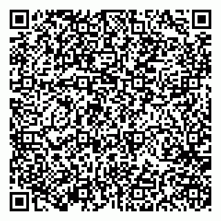 vCard 79191380027