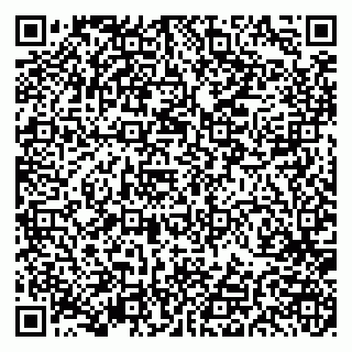 vCard 79191380031