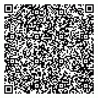 vCard 79191380032