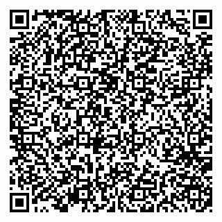 vCard 79191380033