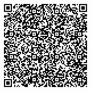 vCard 79191380034