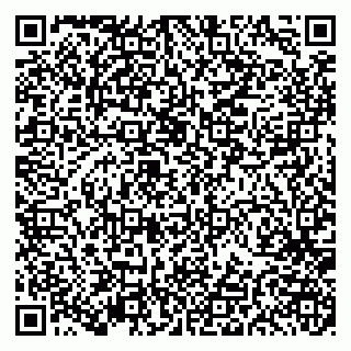 vCard 79191380035