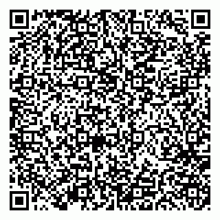 vCard 79191380040