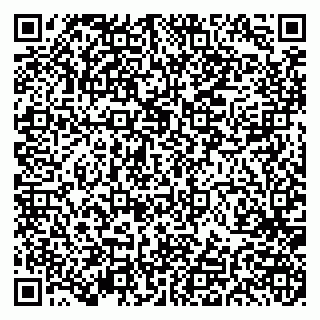 vCard 79191380041