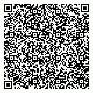 vCard 79191380050