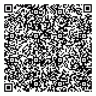 vCard 79191380052