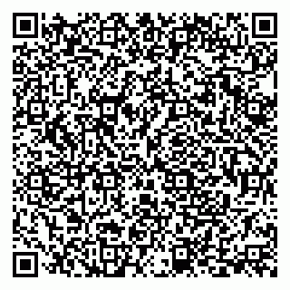 vCard 79191380053