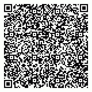 vCard 79191380054