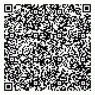 vCard 79191380061