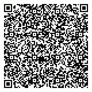 vCard 79191380062