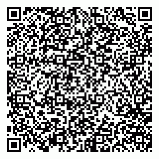 vCard 79191380063