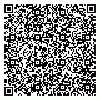 vCard 79191380065