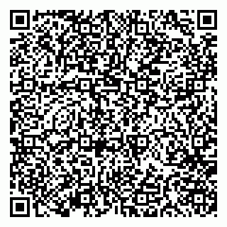 vCard 79191380066