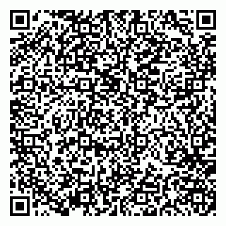 vCard 79191380067