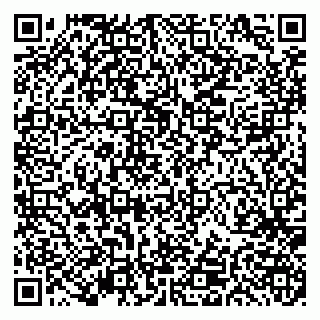 vCard 79191380068