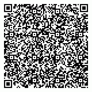 vCard 79191380070