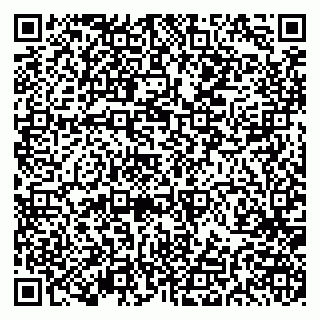 vCard 79191380073