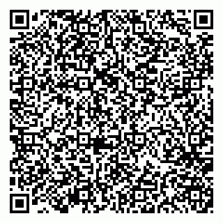 vCard 79191380077