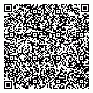 vCard 79191380078