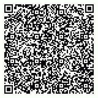 vCard 79191380080