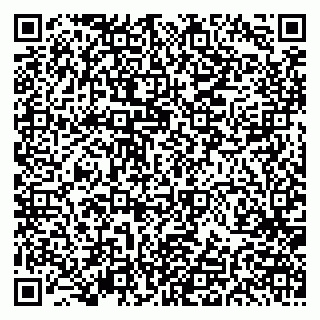 vCard 79191380081