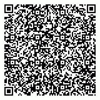 vCard 79191380082