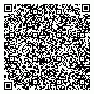 vCard 79191380083