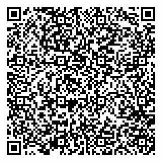 vCard 79191380084