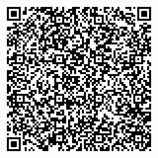 vCard 79191380085