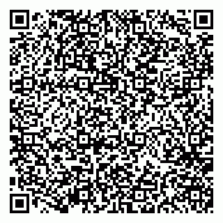vCard 79191380087