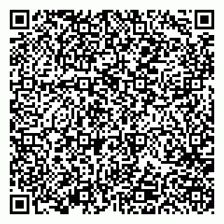vCard 79191380088