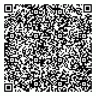 vCard 79191380099