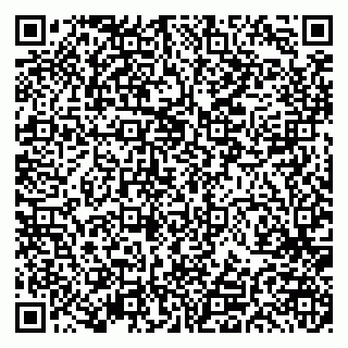 vCard 79191380100