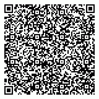 vCard 79191380101