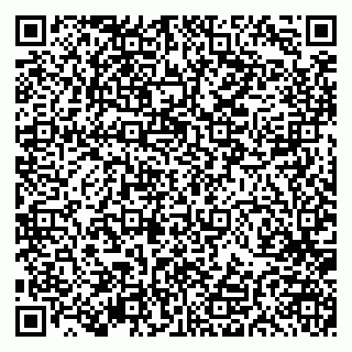vCard 79191380104
