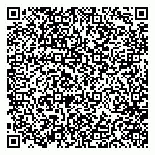 vCard 79191380106