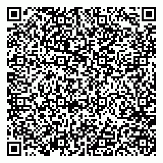 vCard 79191380110