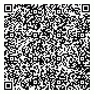 vCard 79191380111