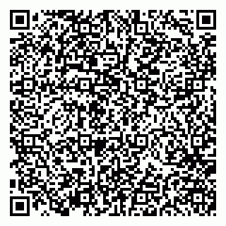vCard 79191380113