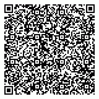 vCard 79191380114