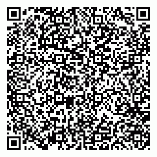 vCard 79191380120