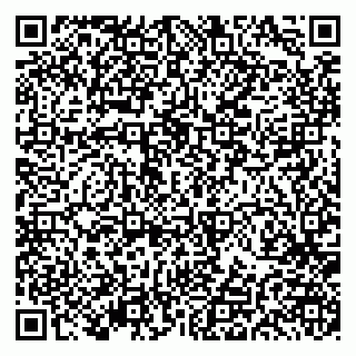 vCard 79191380121