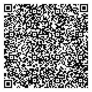 vCard 79191380125