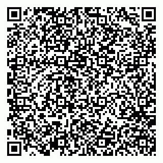 vCard 79191380129